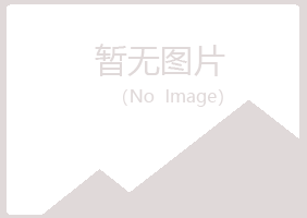 兰山区海莲咨询有限公司